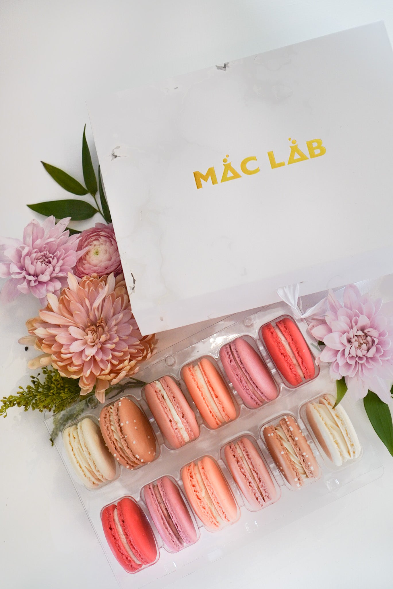 Macaron Subscription